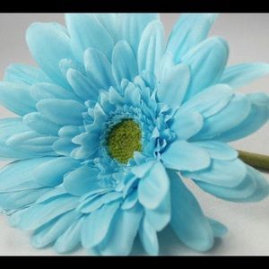 Meet your Posher, Kaylene